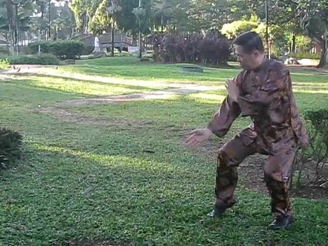 Wu Chuan You Style Taijiquan